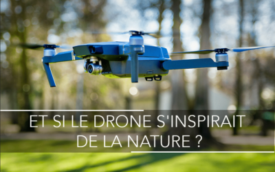 ET SI LE DRONE S’INSPIRAIT DE LA NATURE ?