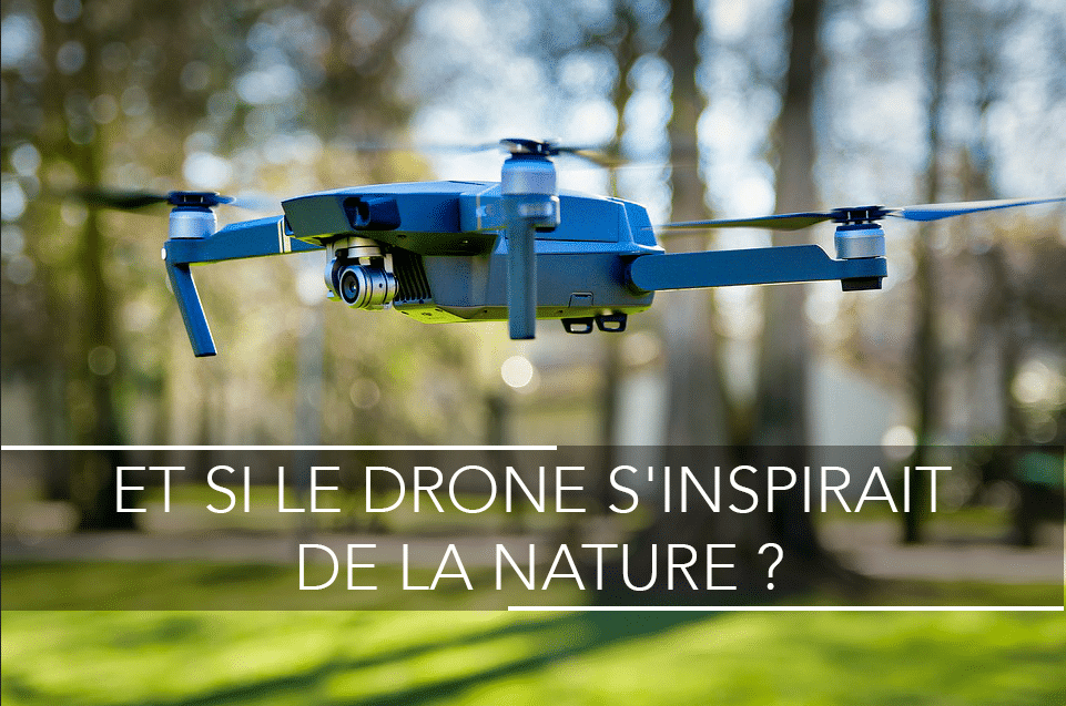 drone et nature, le biomimétisme