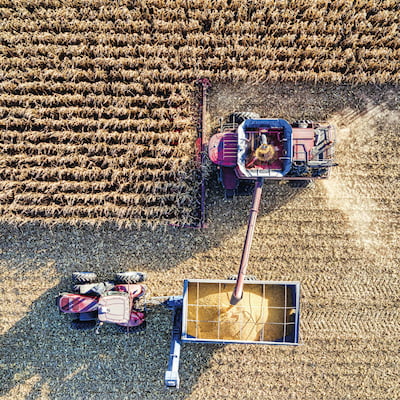 Cartographie des récoltes, vue par drone des récoltes